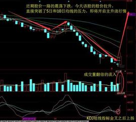 如何选择长期股票