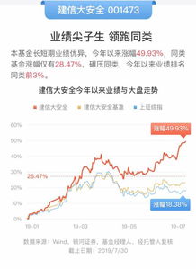 如何选好股票基金