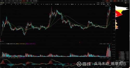 南京证券股票怎么炒