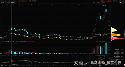 南京证券股票怎么炒