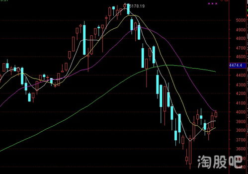 转增股票如何获得