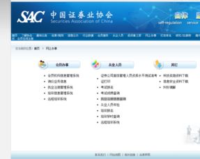 怎么搜索证券频道号