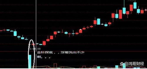 如何一直运行一只股票