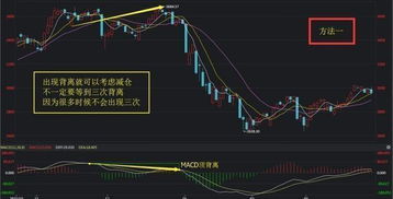如何一直运行一只股票