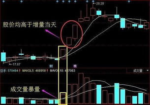 股票成交量当天如何看的