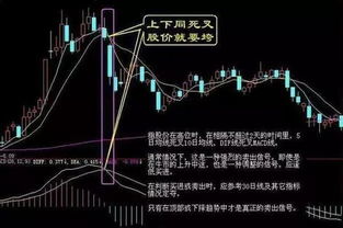 股票如何锁定黑马股票