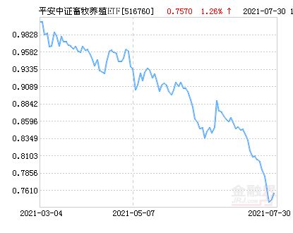 平安证券怎么养