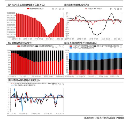 股票如何看量比视频