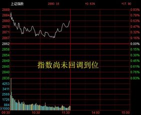 同花顺如何查找st股票