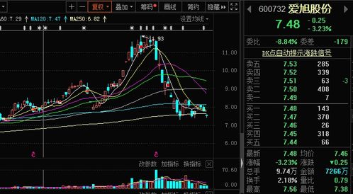 星st股票如何摘帽