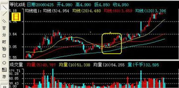 如何抓住反弹龙头股票