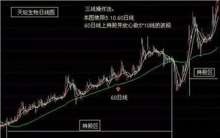 如何看懂股票技巧与方法