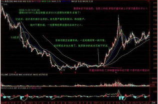 炒股后如何选股票