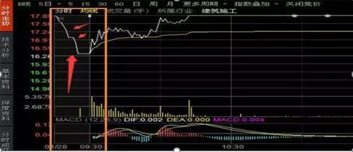买股票如何竞价买到股票呢 买股票如何竞价买到股票呢