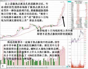 牛市证券股票怎么选择