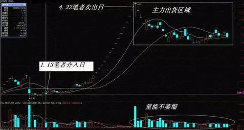 对于种子业股票如何投资 对于种子业股票如何投资