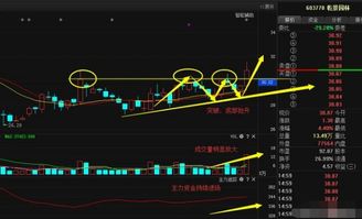 股票如何添加主力指数