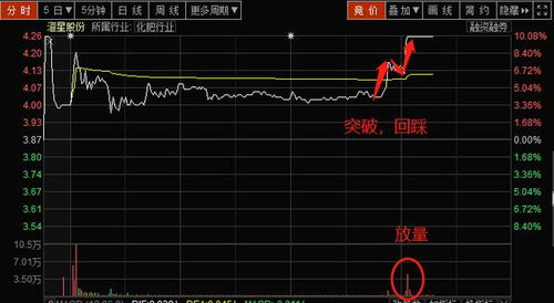 如何看股票当天成交金额