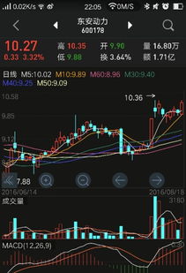 股票如何查看公式大全 股票如何查看公式大全
