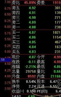 股票中关村前景如何
