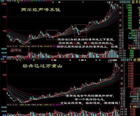 证券股票散户怎么操作