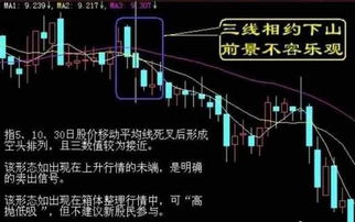 如何看待股票七不碰