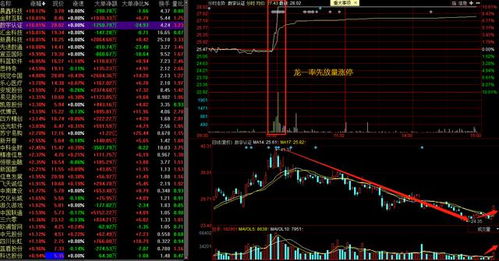 海泰克股票如何 海泰克股票如何