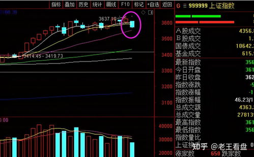 股票大跌如何