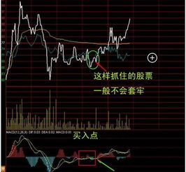 股票如何分时卖出