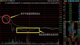 股票的t 0如何操作