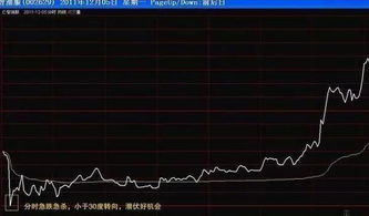 股票的t 0如何操作