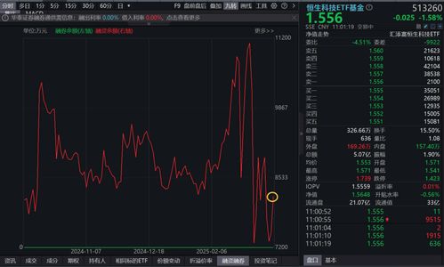 如何在基金里查看股票