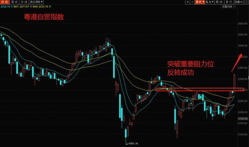 如何分辨股票的财务状况