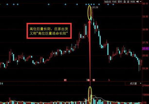 如何用8000元炒股票
