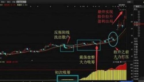 股票如何跟主力
