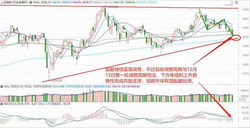 平安证券创业板怎么开