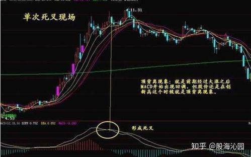 macd股票分析如何 macd股票分析如何