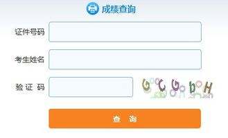 开通的证券怎么查询