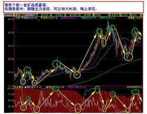 如何判断股票的流向