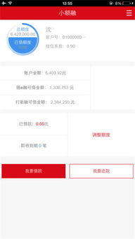 国融证券兜兜满怎么用