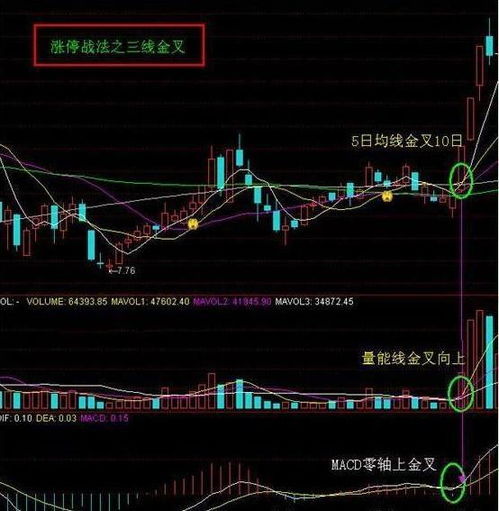 如何看到股票的支撑位