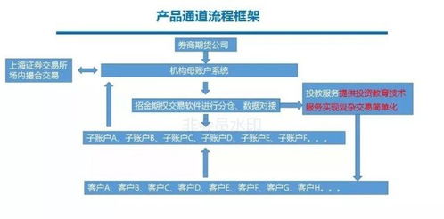 证券期权交易怎么开通