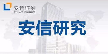 安心证券怎么样