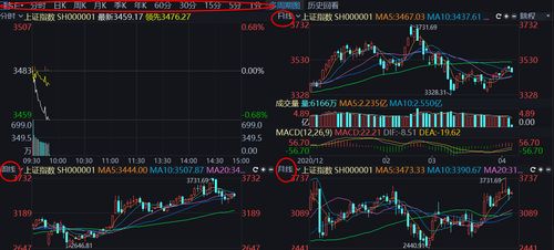 股票如何快速了解