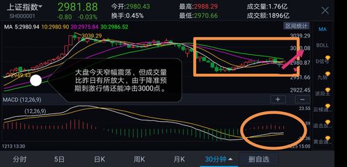 如何判断股票的互换仓位 如何判断股票的互换仓位