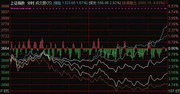 股票如何分级 股票如何分级