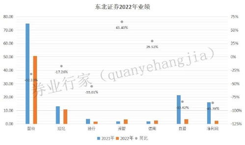 东北证券怎么看