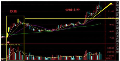 如何看短线龙头股票