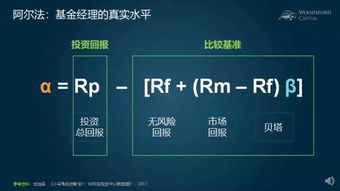 证券的阿尔法怎么算