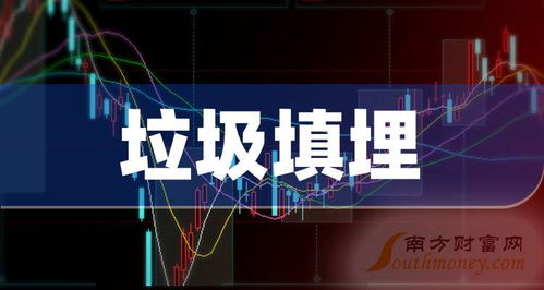 如何看垃圾公司的股票